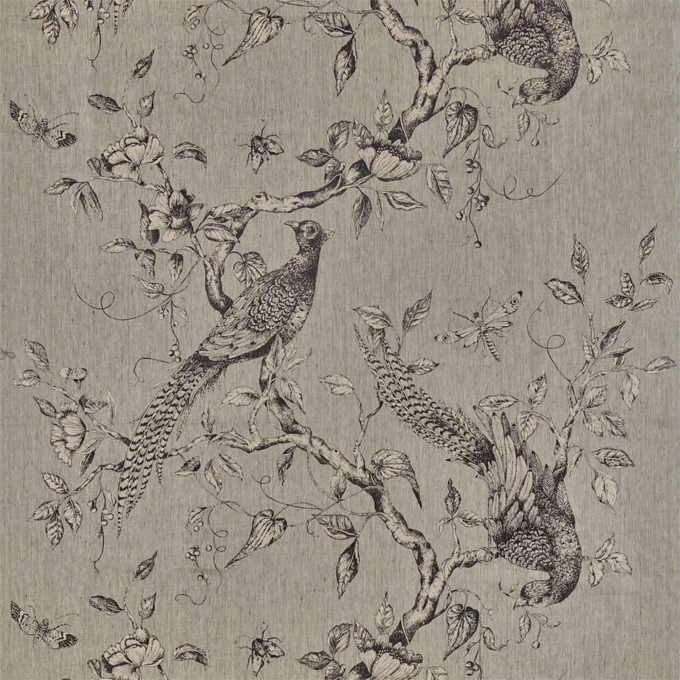 ZOFFANY Darnley Toile Fabric Birds Empire Grey   - ZDAR322656