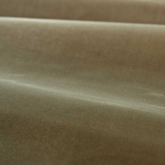 ZOFFANY Cotton Velvet Performance Fabric Plains , Textures Antique Linen   - ZL4X333510