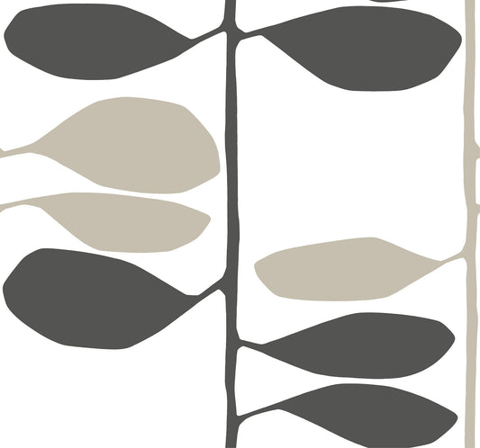York Wallcoverings Artisan Studio Sculpted Vines Carbon and Linen Wallpaper Modern Botanical Blacks   - ZM2804