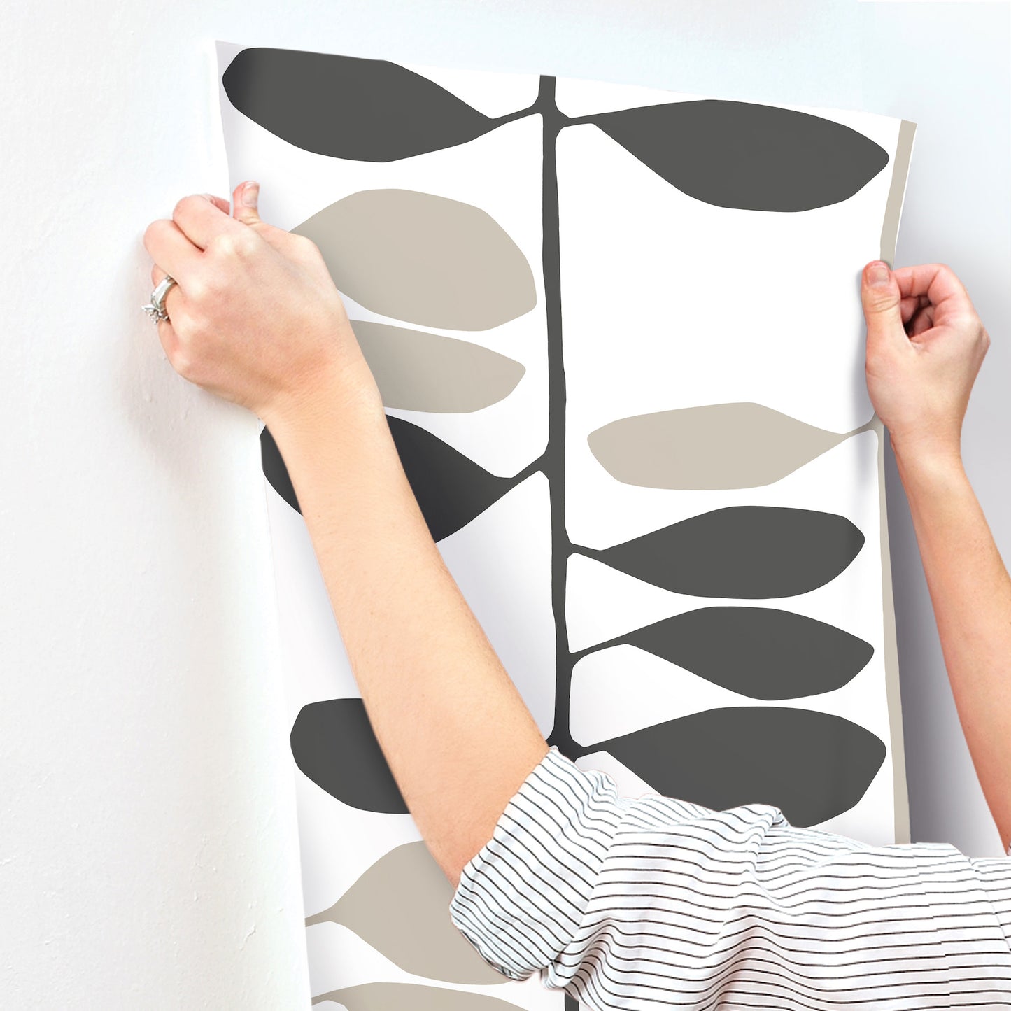 York Wallcoverings Artisan Studio Sculpted Vines Carbon and Linen Wallpaper Modern Botanical Blacks   - ZM2804