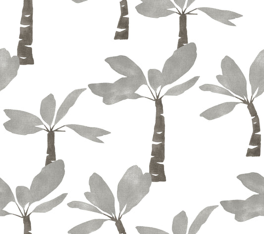York Wallcoverings Artisan Studio Painted Oasis Carbon and Graphite Wallpaper Bohemian Tropical Greys   - ZM2838