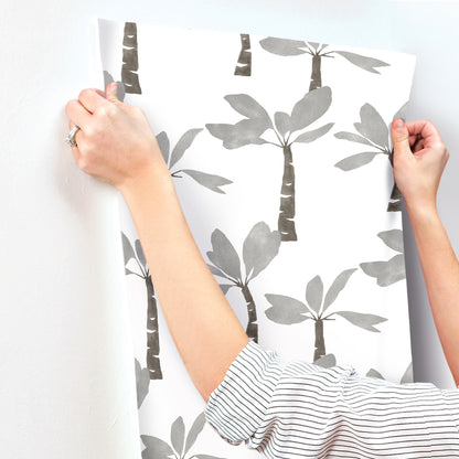 York Wallcoverings Artisan Studio Painted Oasis Carbon and Graphite Wallpaper Bohemian Tropical Greys   - ZM2838