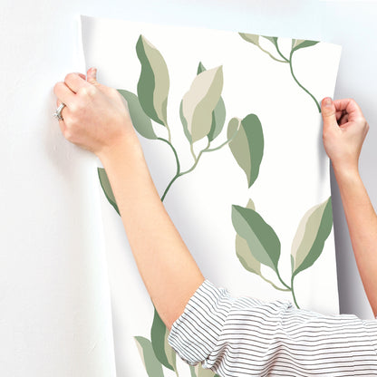 York Wallcoverings Artisan Studio Brushwork Branches Leaf Green Wallpaper Modern Botanical Greens   - ZM2872