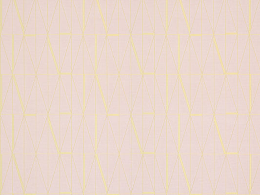 SCALAMANDRE OUTLET  FABRIC CAMEO SHIMMER  FABRIC CAMEO   - ZM 002BH2792