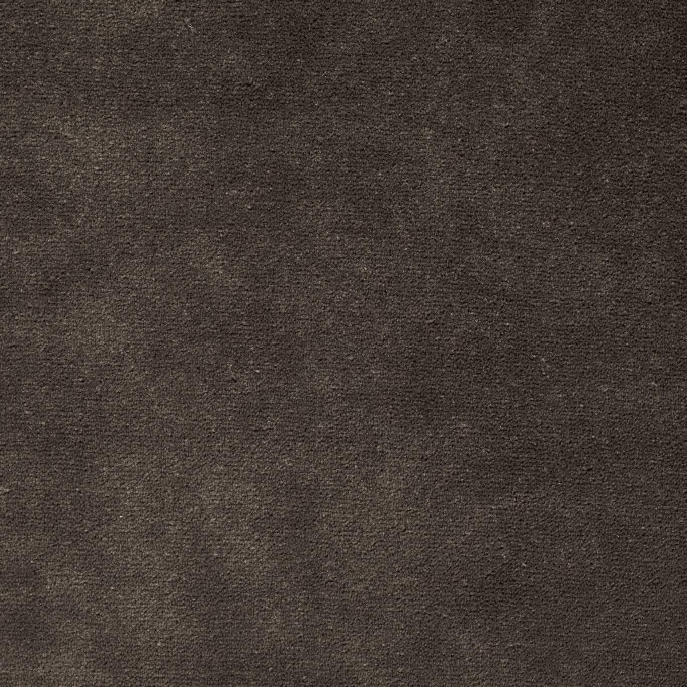 ZOFFANY OUTLET Zoffany Performance Velvet Fabric Plains , Textures Cocoa   - ZPFV333341