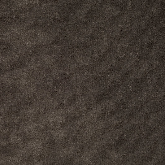 ZOFFANY OUTLET Zoffany Performance Velvet Fabric Plains , Textures Cocoa   - ZPFV333341