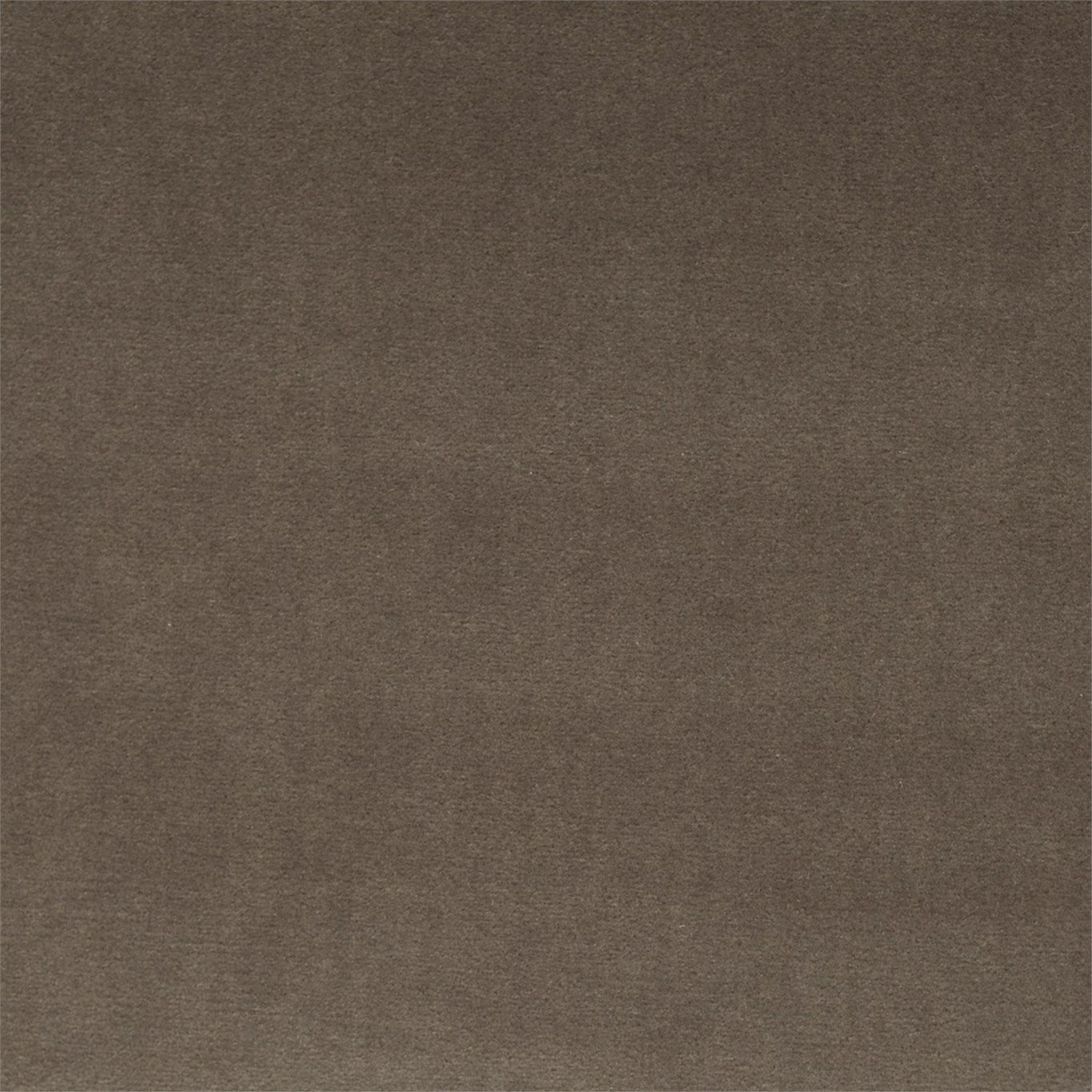 ZOFFANY OUTLET Quartz Velvet Fabric Plains , Textures Mole   - ZREV331614