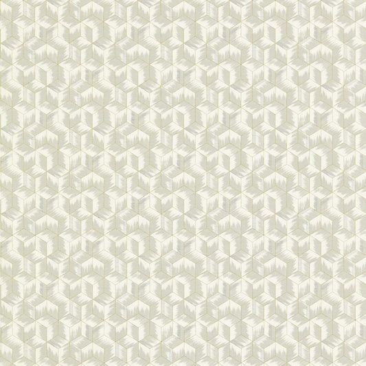 ZOFFANY Tumbling Blocks Wallpaper Geometric Empire Grey  Gravure Wide Width Vinyl - ZRHW312891