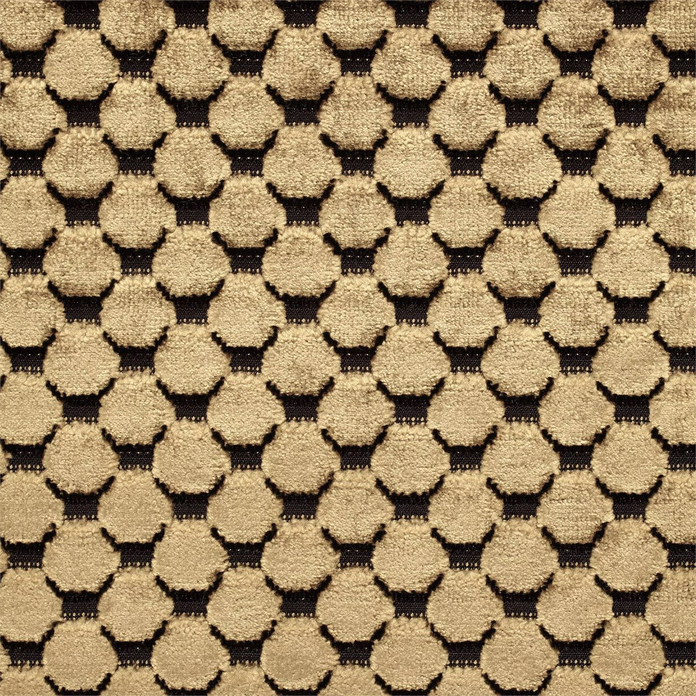 ZOFFANY Tespi Spot Fabric Spots Carbon,Old Gold   - ZTSV332166