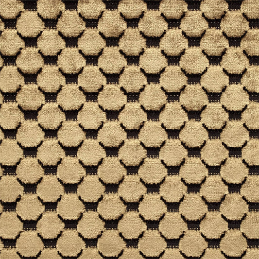 ZOFFANY Tespi Spot Fabric Spots Carbon,Old Gold   - ZTSV332166