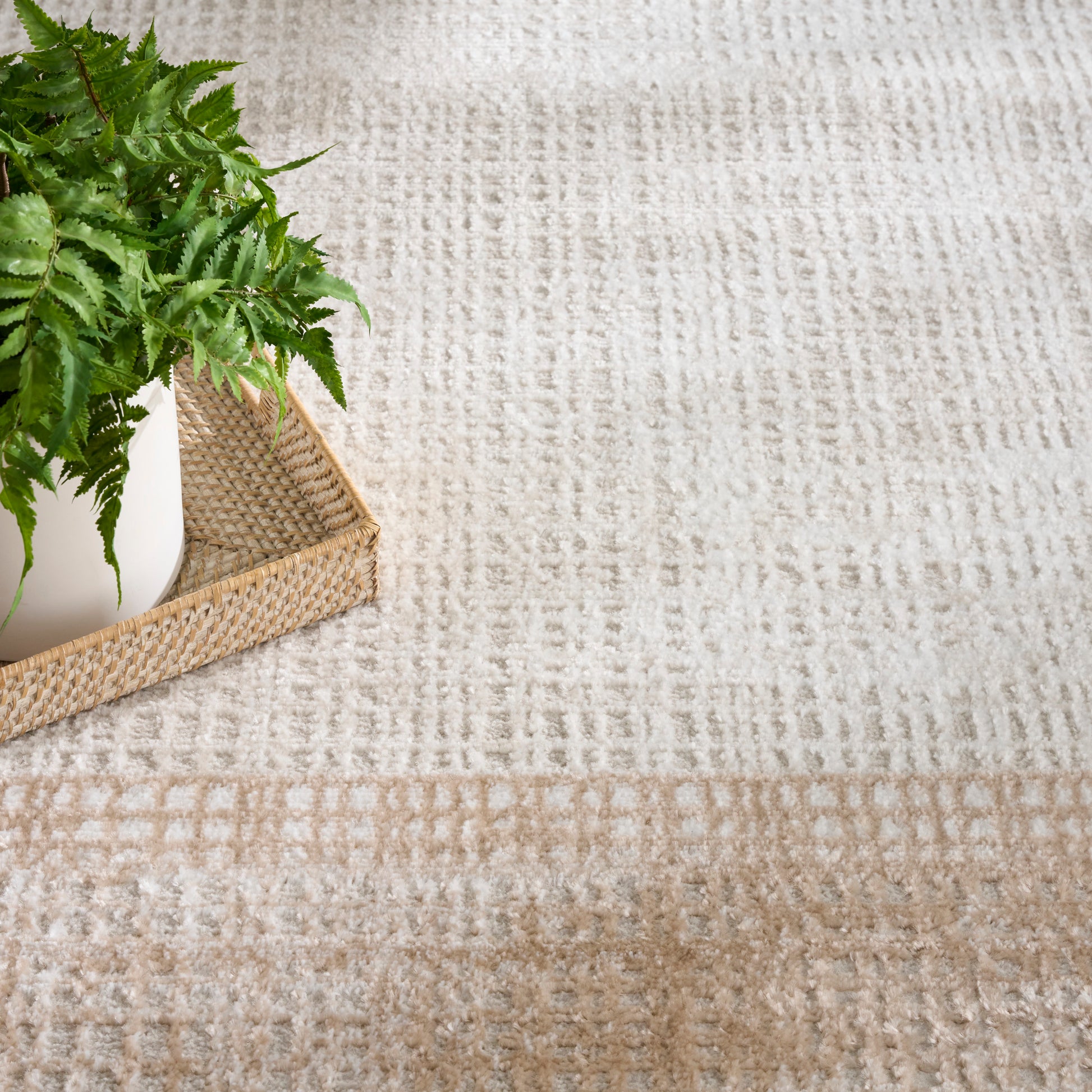 Green fern in a white ceramic pot on a natural woven tray atop a beige patterned rug.