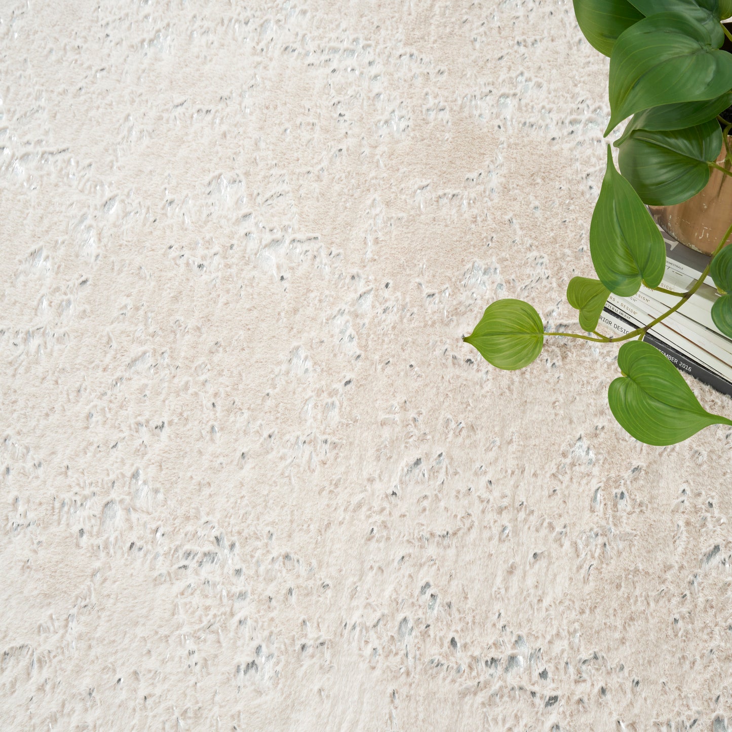 Beige textured backdrop with a potted pothos plant and trailing green leaves on the right.