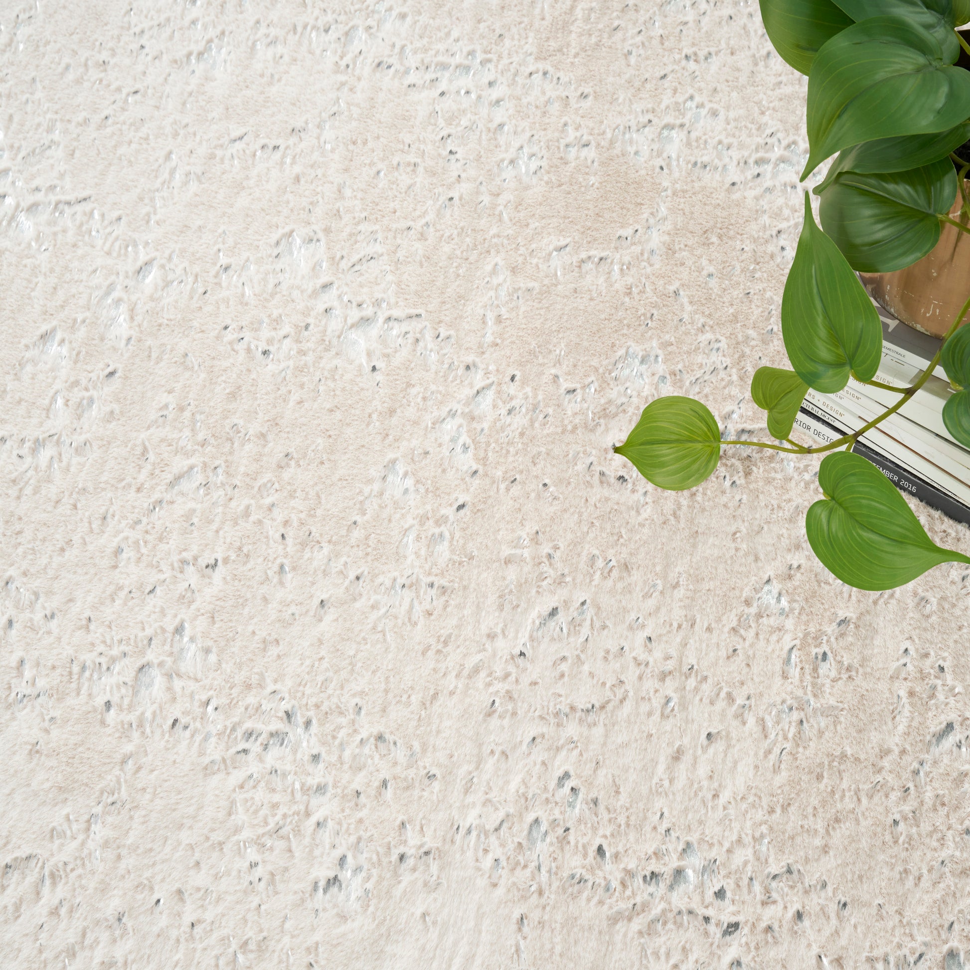 Beige textured backdrop with a potted pothos plant and trailing green leaves on the right.