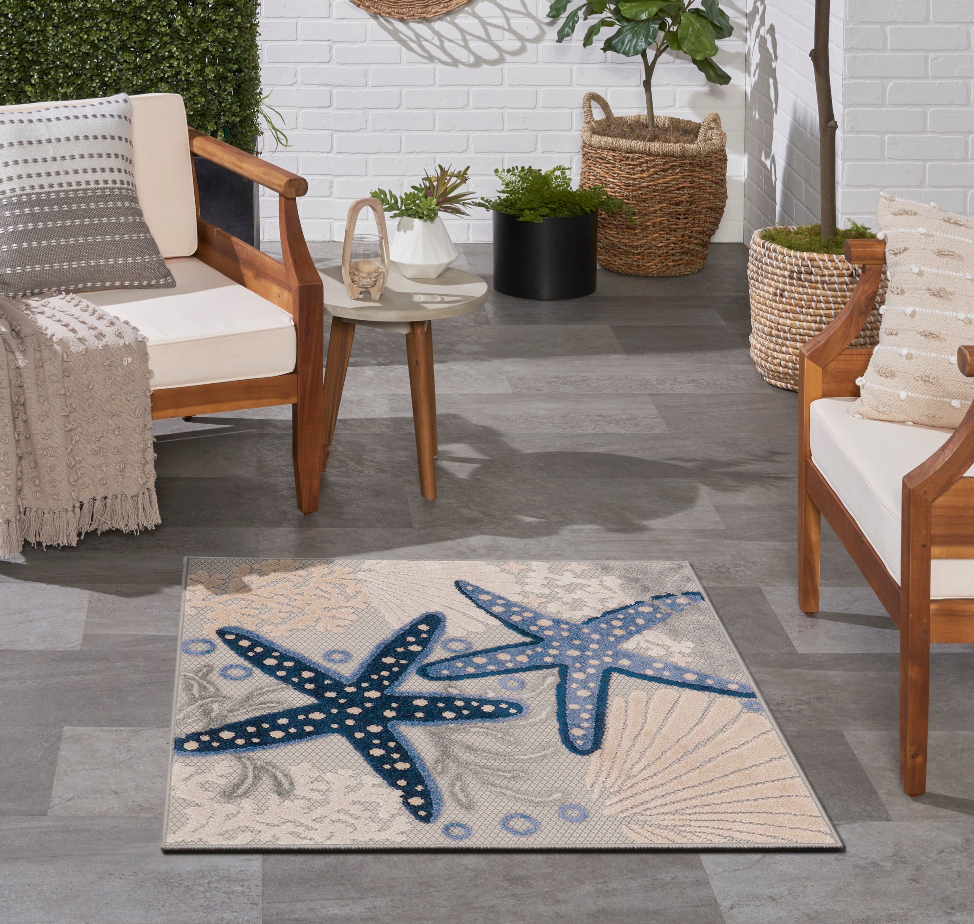 Coastal rug with blue starfish on beige sand background; wooden-framed chairs & neutral cushions, potted plants.
