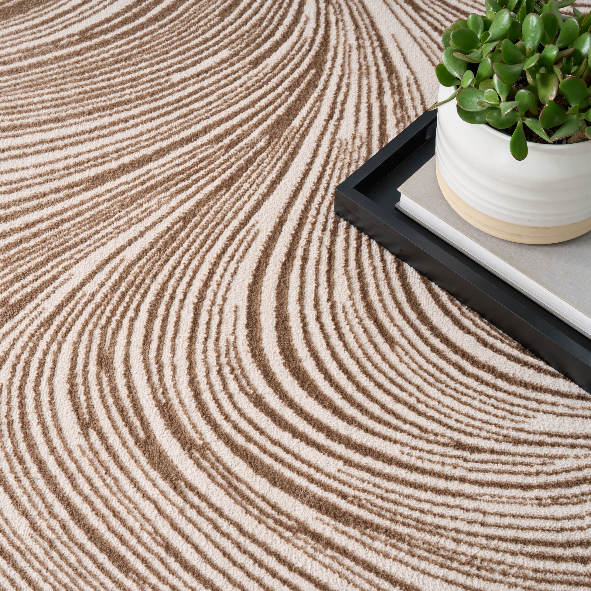 Beige and brown striped rug with circular arc pattern; black tray with a white pot and green succulent.