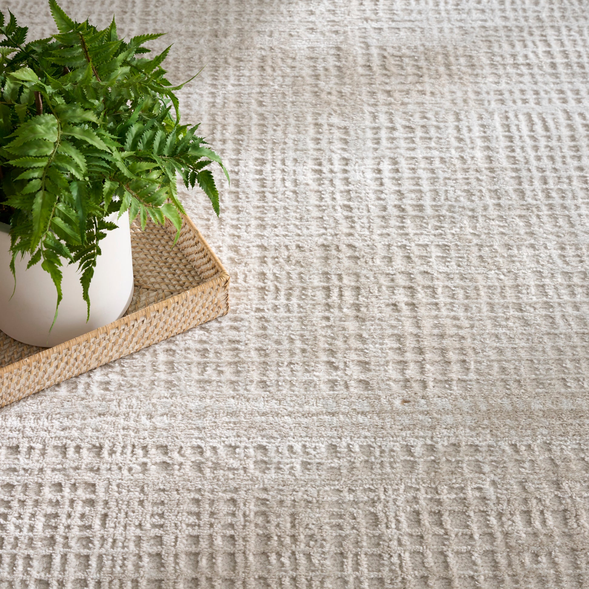 Beige textured rug with a green fern in a white ceramic pot on a woven natural-fiber tray.