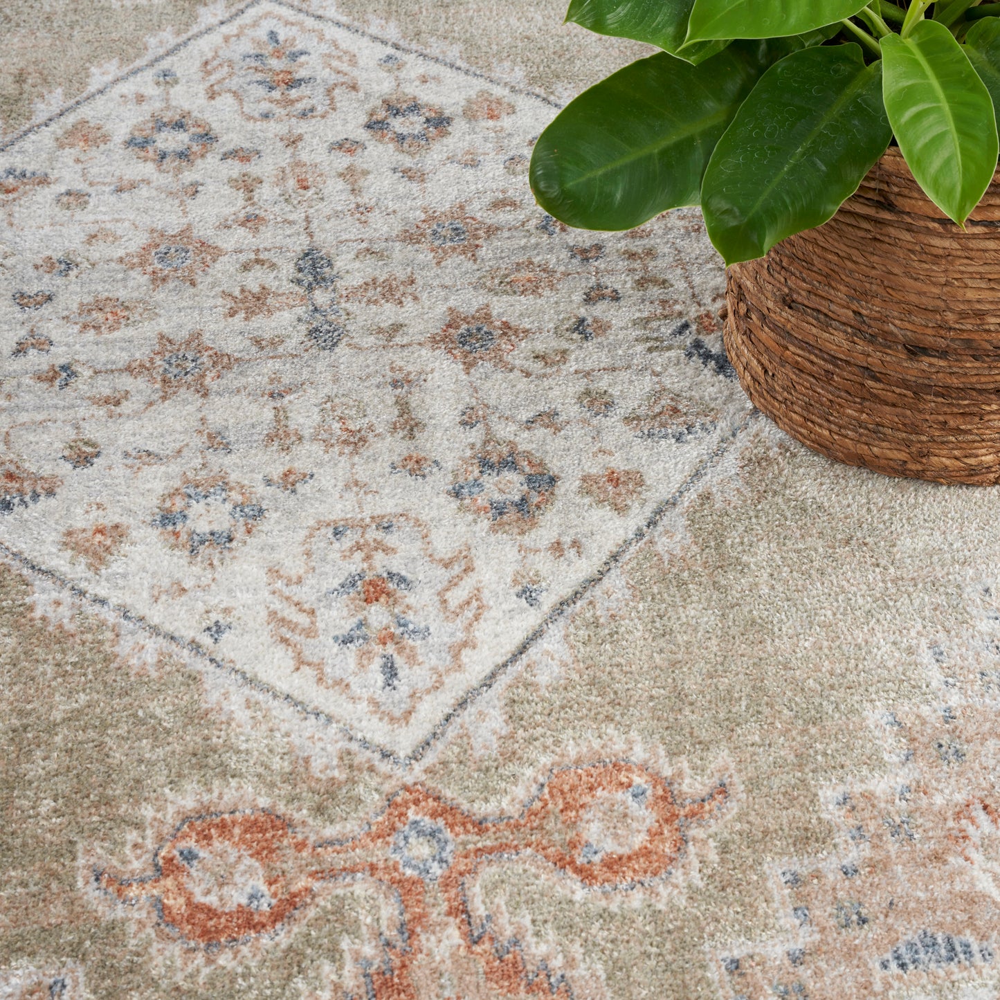 Beige oriental-pattern rug with blue and rust motifs beside a potted plant in a woven basket.