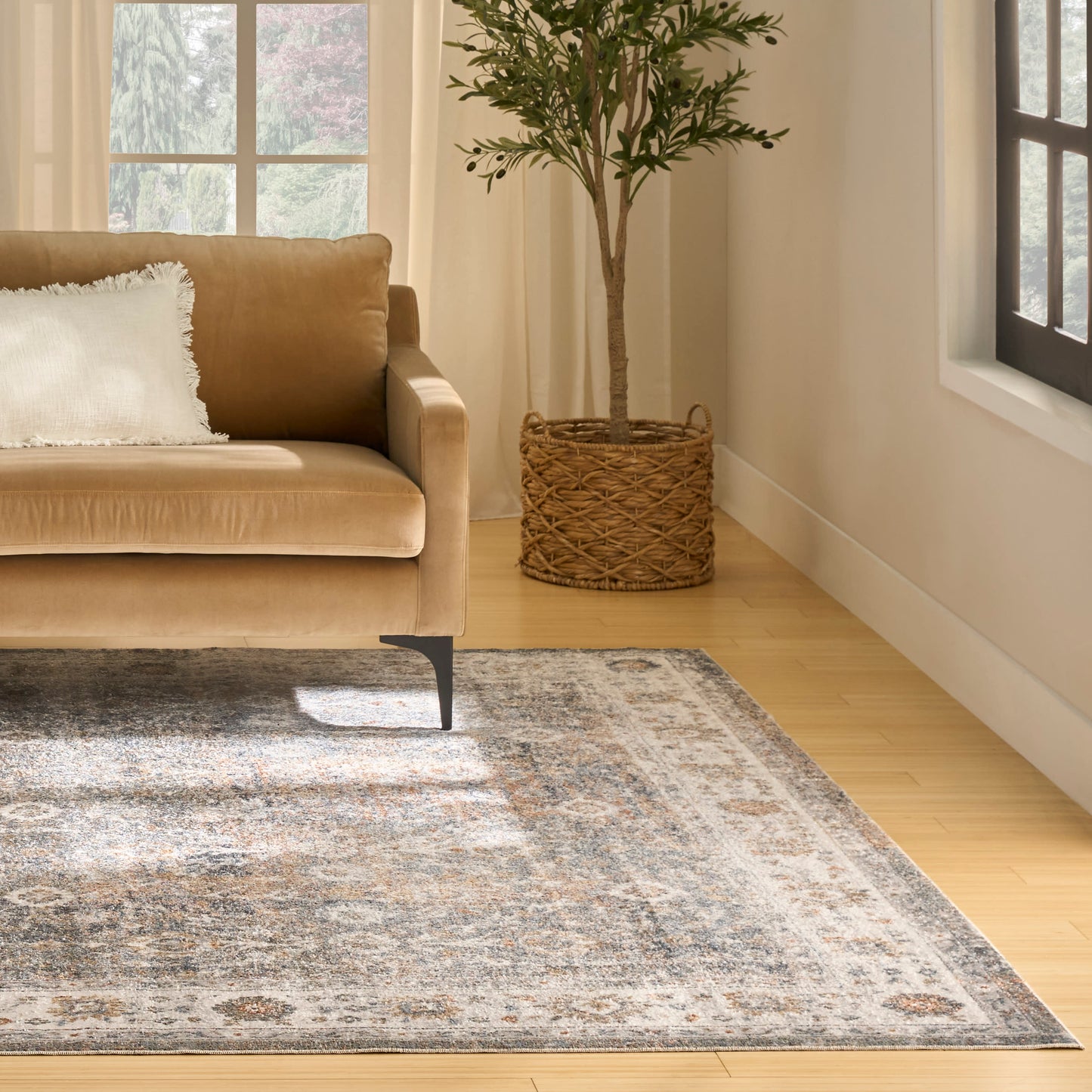 Beige sofa with white pillow, potted tree in woven basket, light wood floor, large patterned gray rug in sunlit living room.