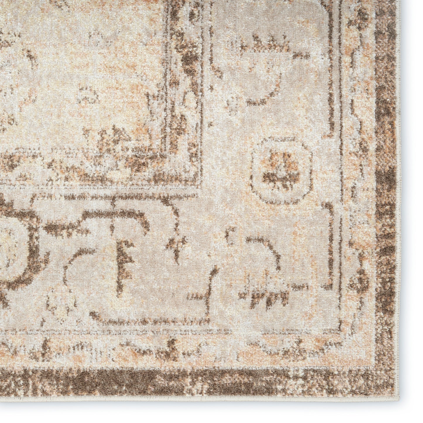 Rectangular beige oriental rug with brown border, vintage distressed pattern, soft plush pile for living room decor.
