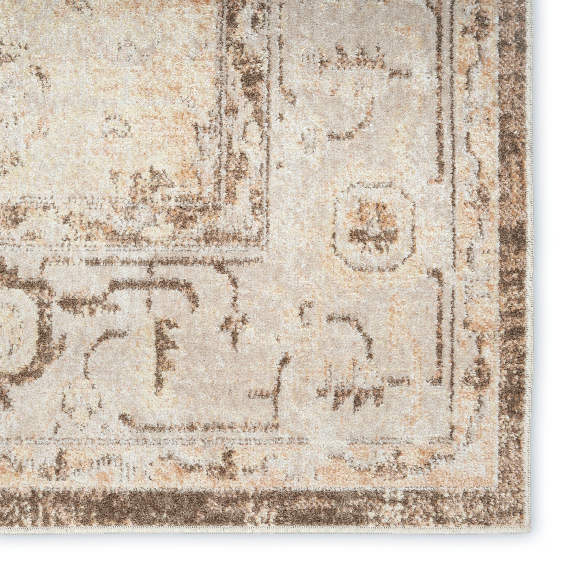 Rectangular beige oriental rug with brown border, vintage distressed pattern, soft plush pile for living room decor.