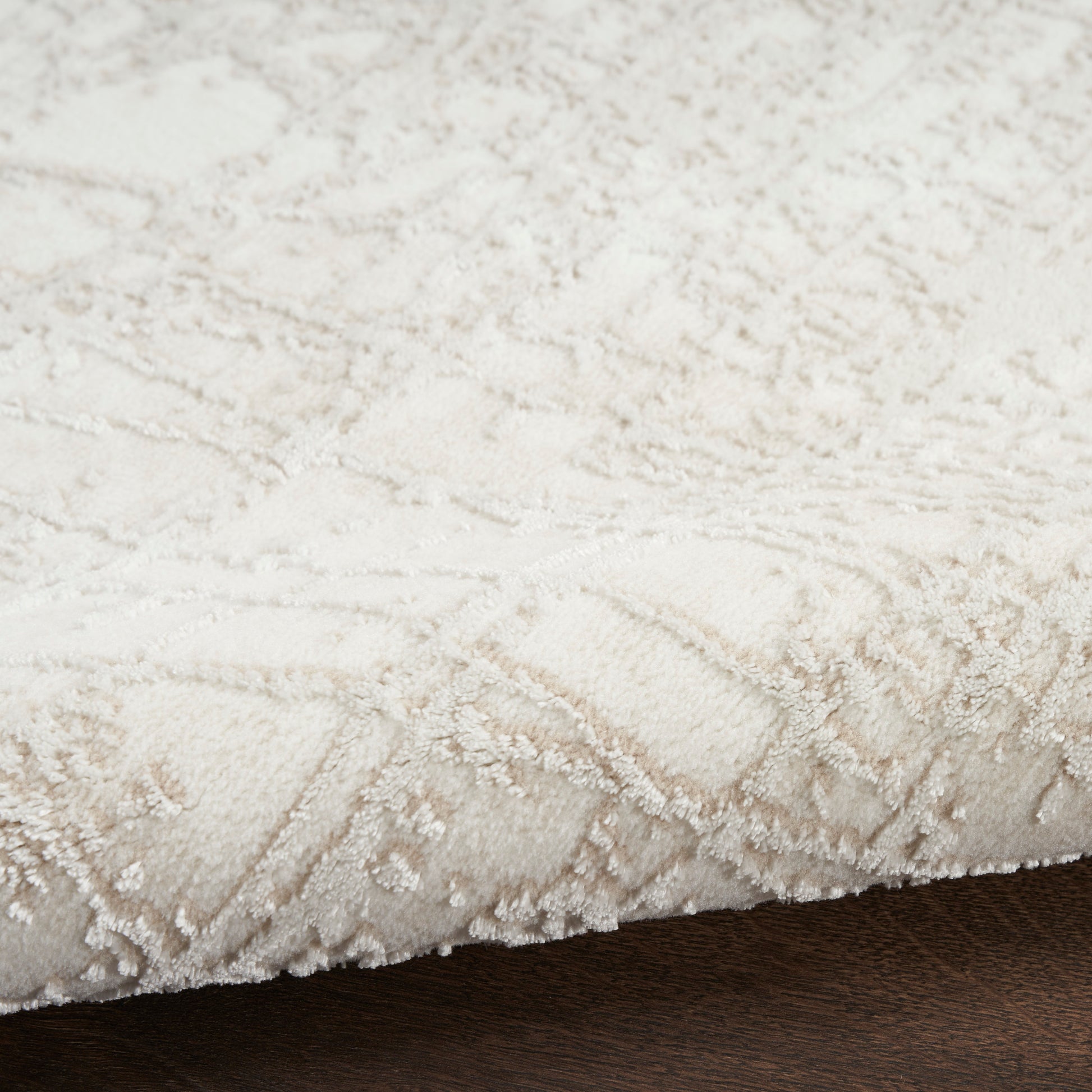 Cream-colored plush area rug with raised damask pattern, soft pile, edge visible on dark wood floor.