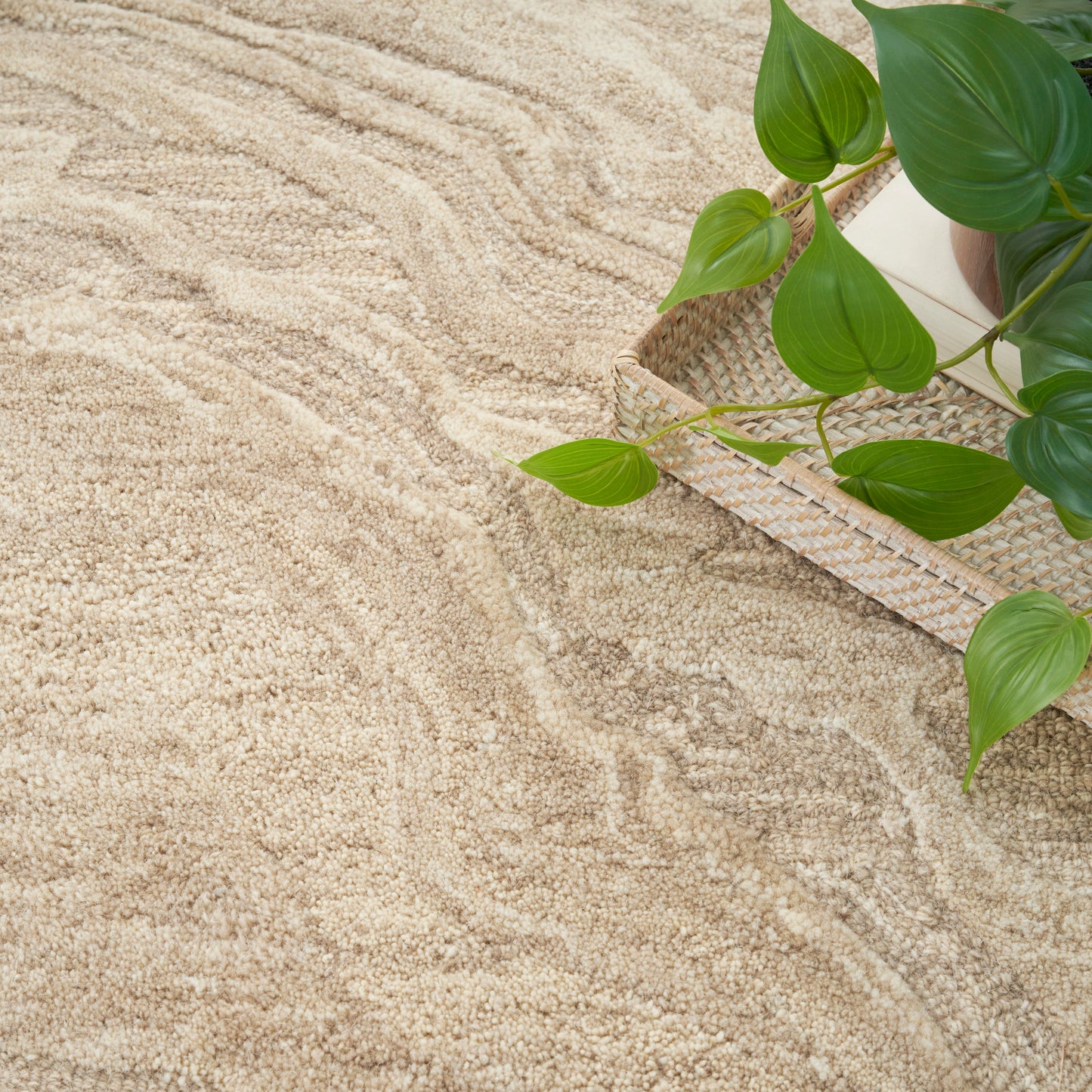 Beige rug with a woven basket and trailing green pothos plant, coastal home decor.