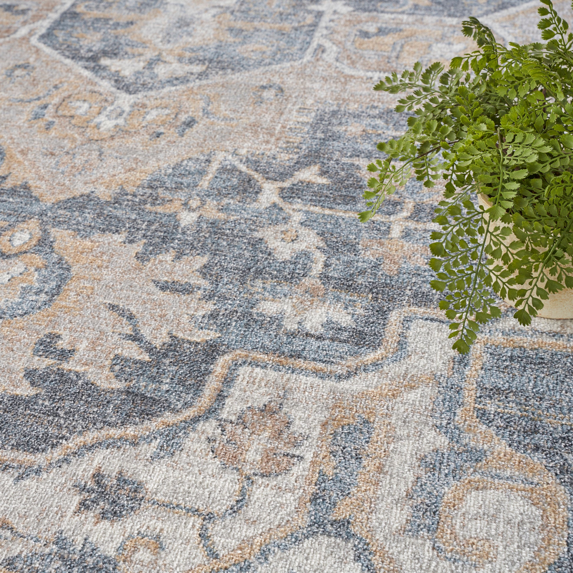 Blue and beige patterned area rug with intricate floral motifs; potted green fern sits at the edge.