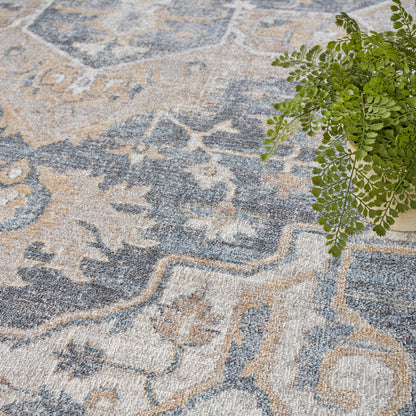 Blue and beige patterned area rug with intricate floral motifs; potted green fern sits at the edge.
