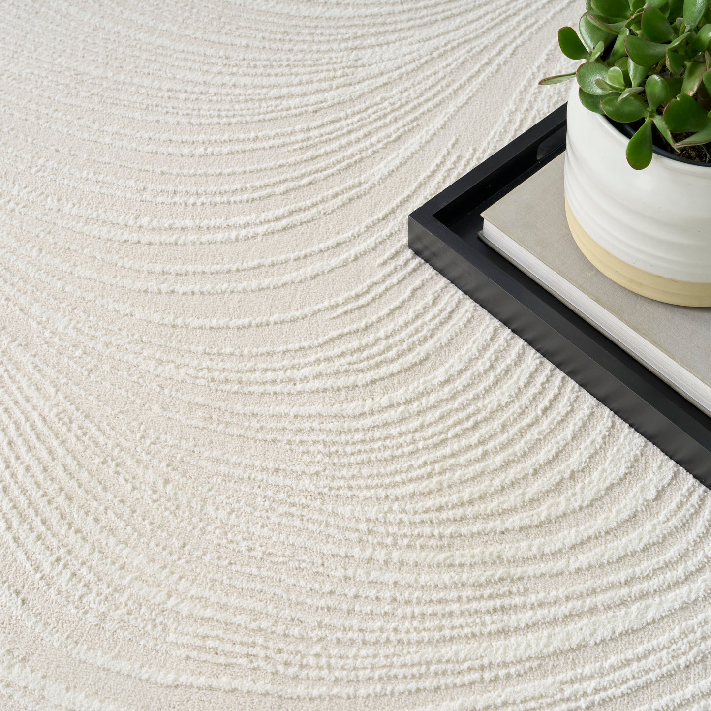 Beige textured rug with circular ridges; black tray holding a white planter with a green succulent and stacked books.