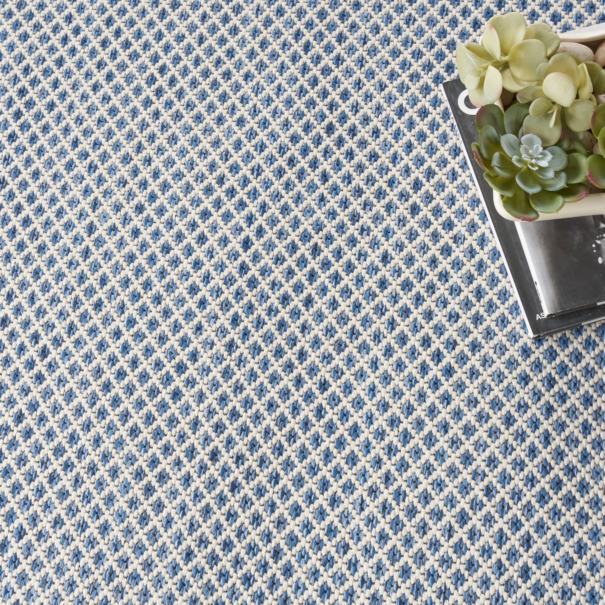 Blue and white woven rug with a diamond lattice pattern; succulent plant in a white pot on a black book in the corner.