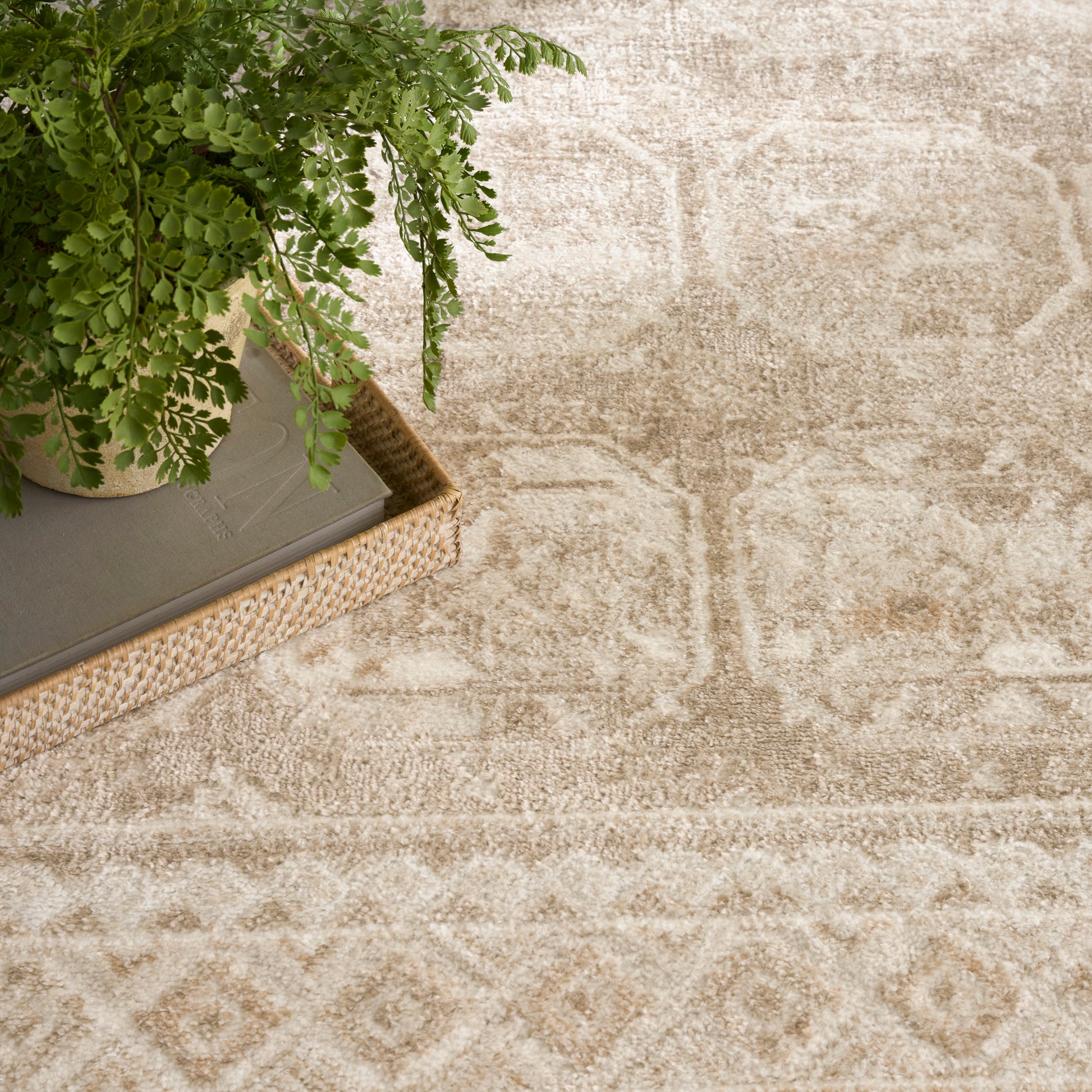 Beige geometric rug with diamond motifs, wicker tray holding a gray book and a potted green fern.