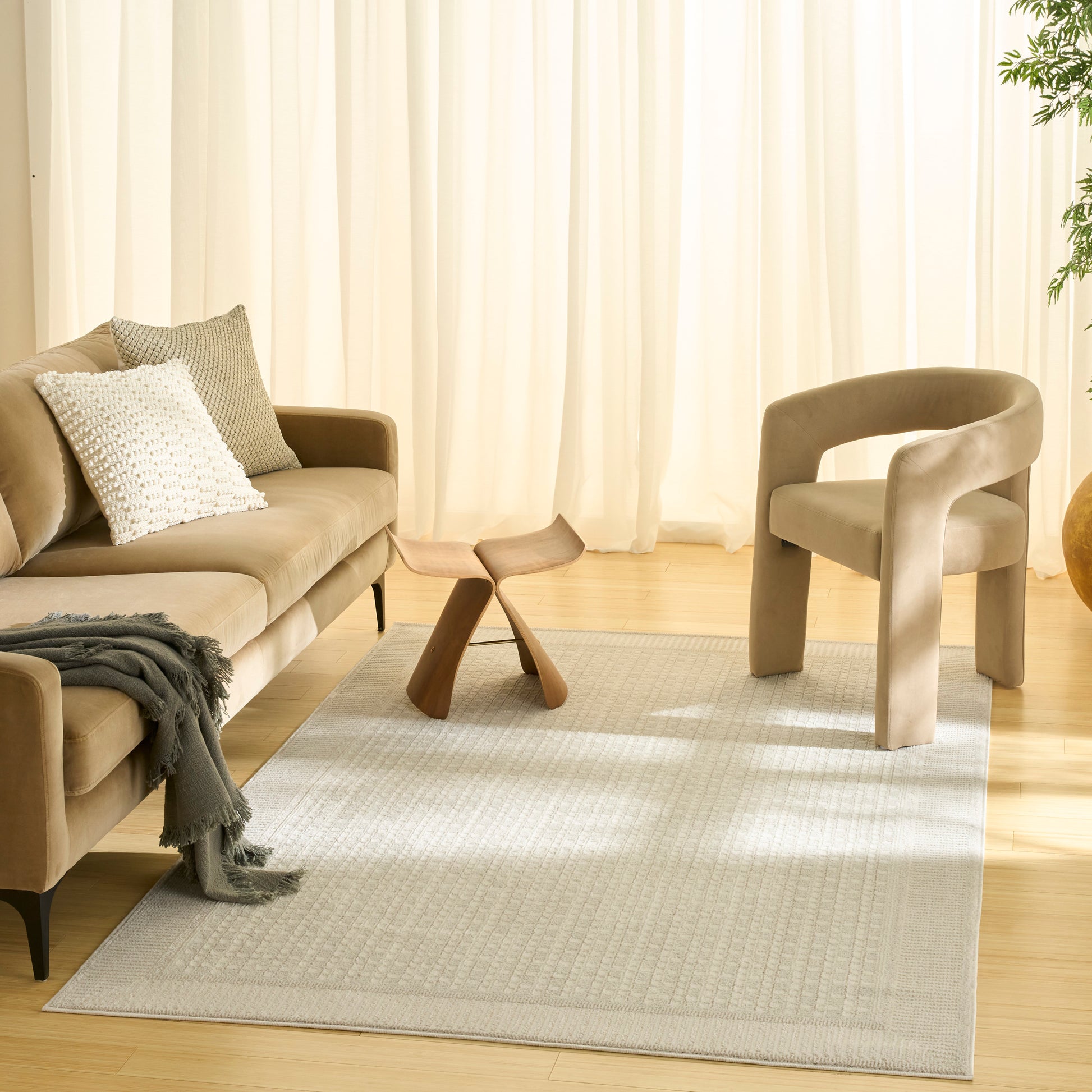 Neutral living room with beige sofa, taupe curved armchair, wooden sculptural side table, light textured rug, cream curtains.