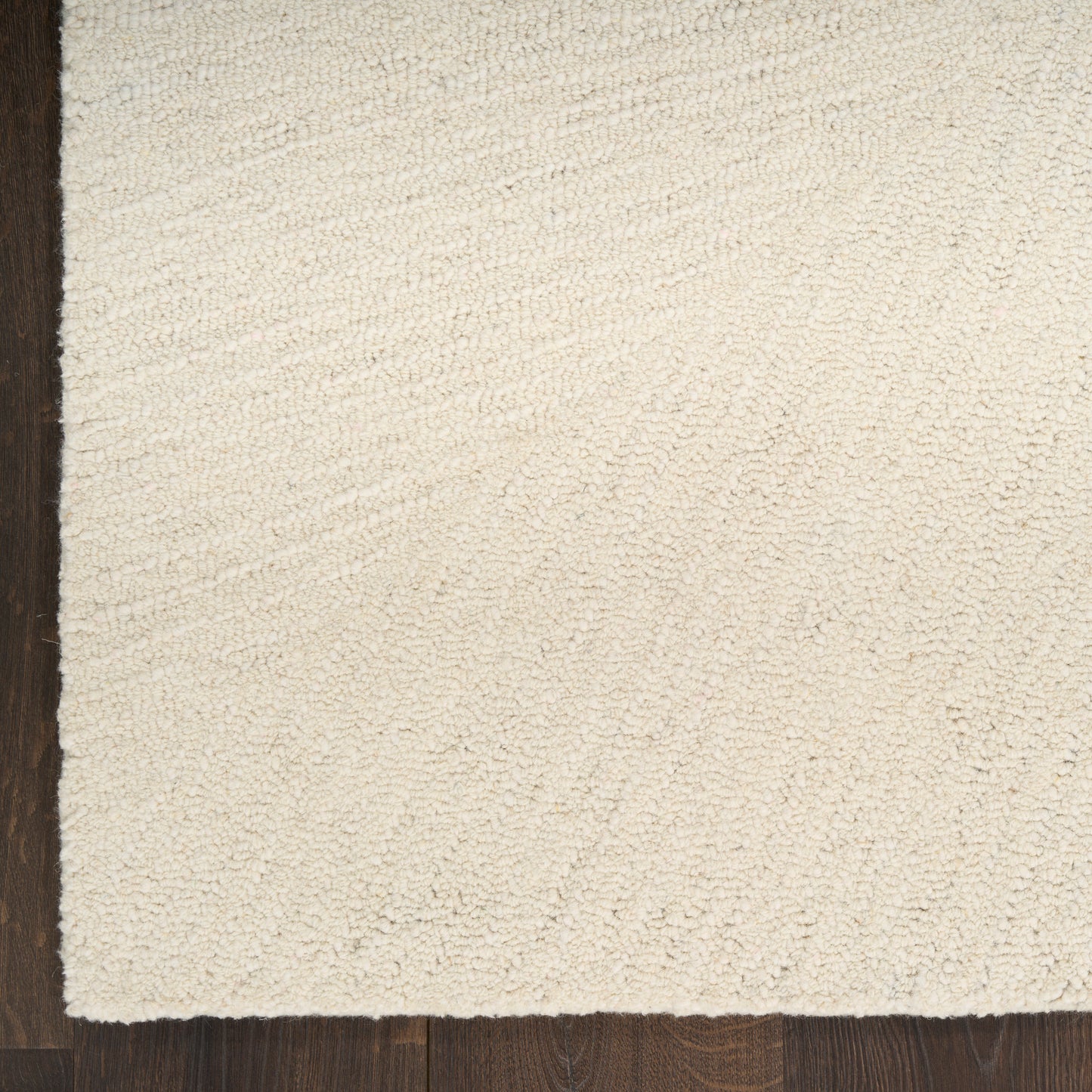 Beige shag area rug with plush pile on dark wood floor; left edge shows a darker border.