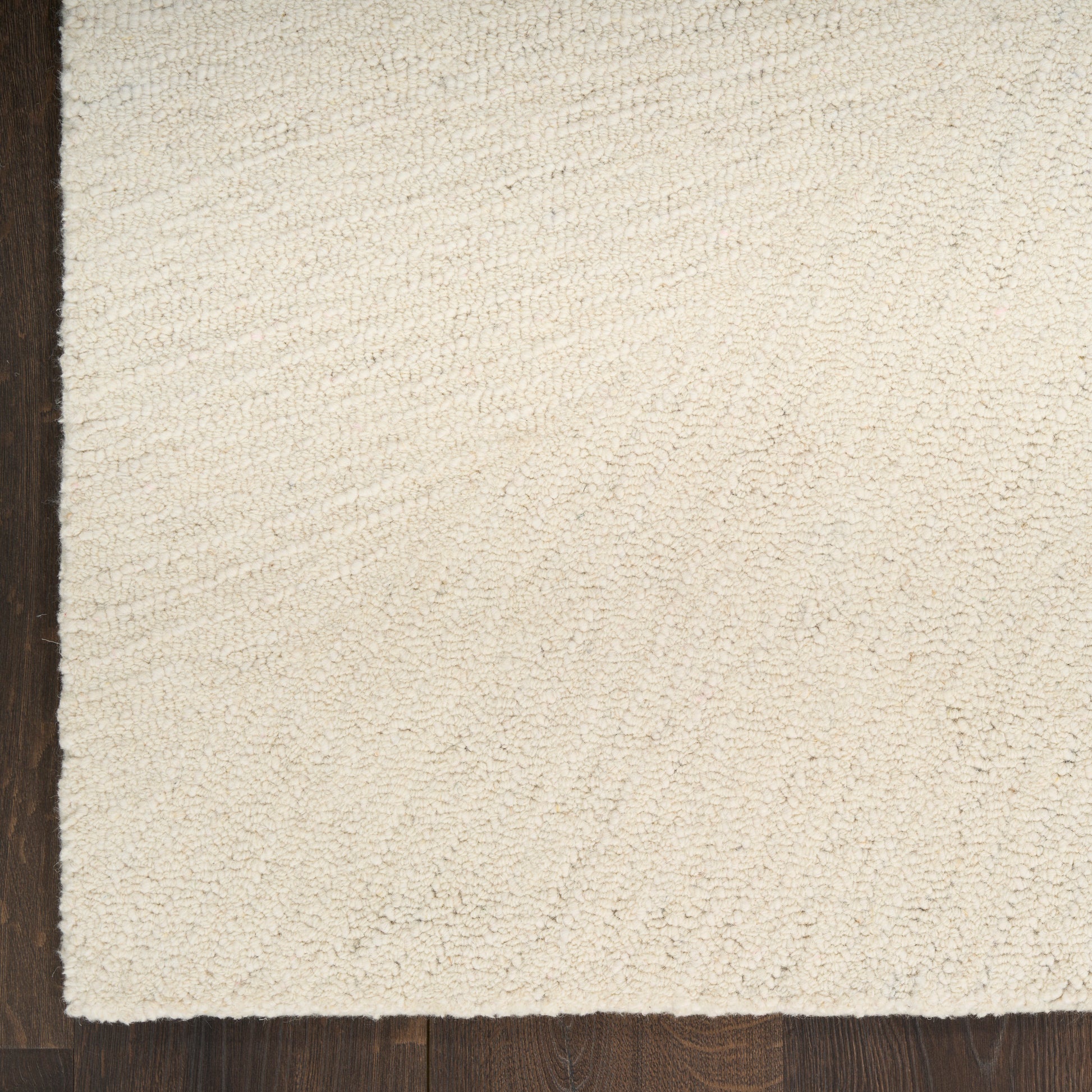 Beige shag area rug with plush pile on dark wood floor; left edge shows a darker border.