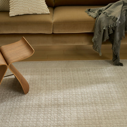 Beige textured rug with a subtle pattern; size 4' x 6'.