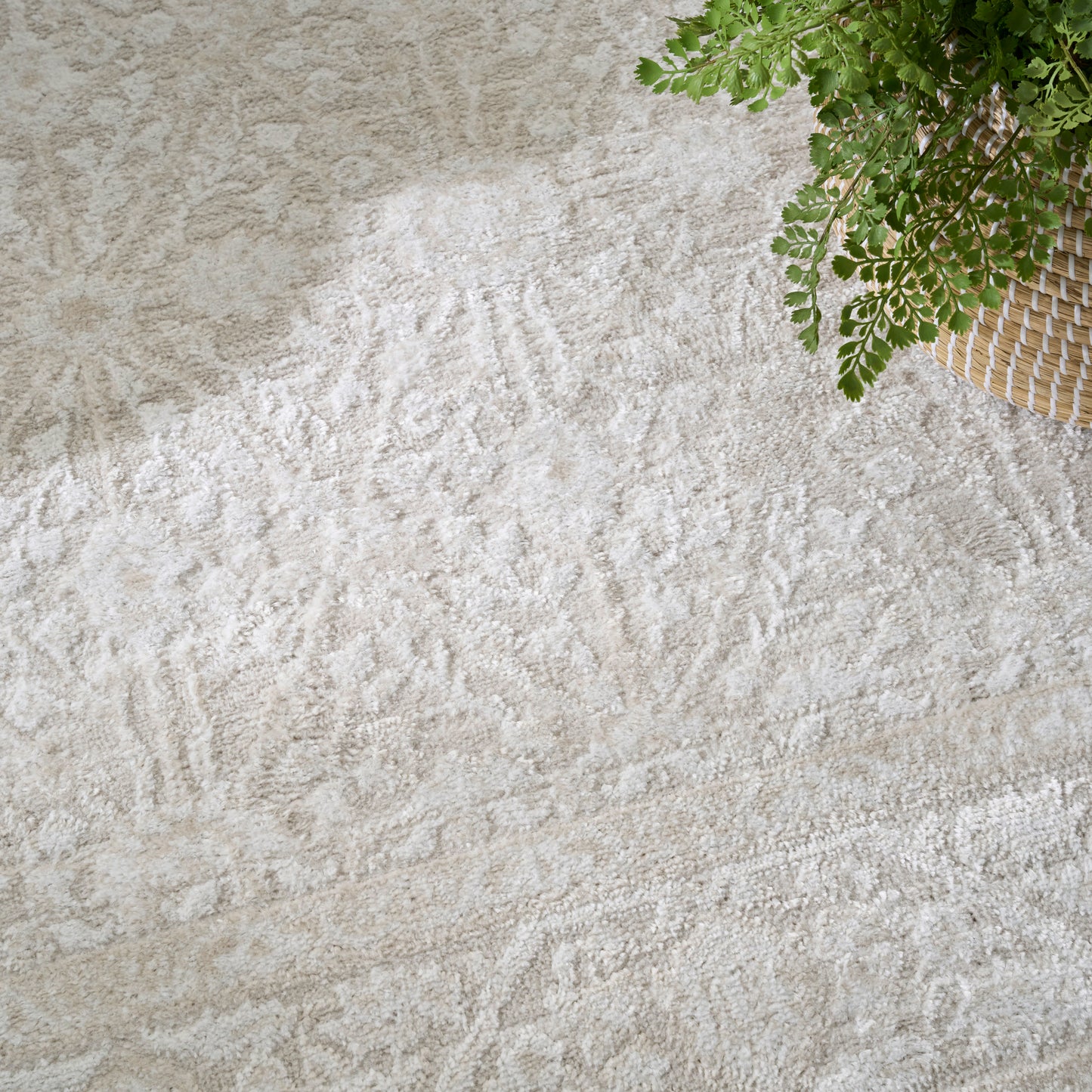 Cream-beige textured area rug with an abstract pattern, beside a woven basket with a green fern.