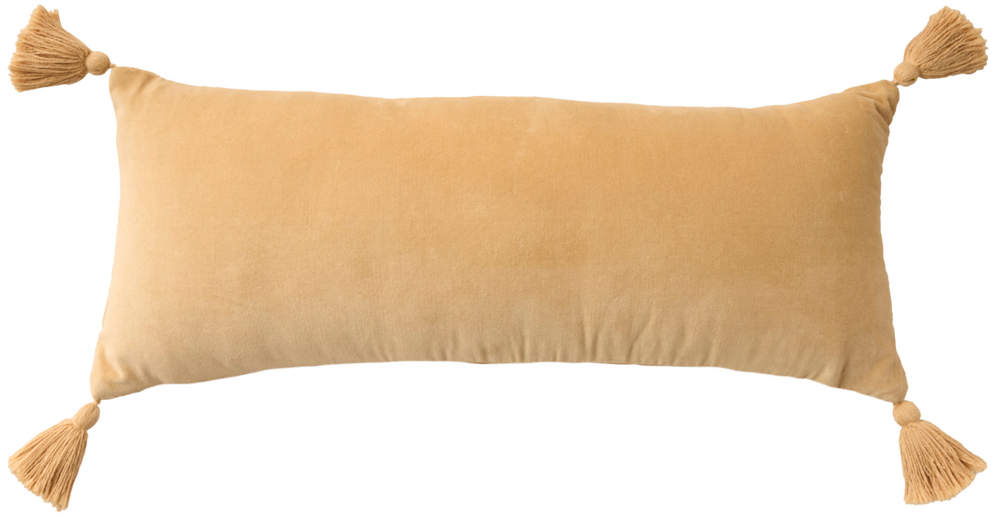 Rectangular seafoam velvet throw pillow with tassels at each corner, 12 x 28 inches.