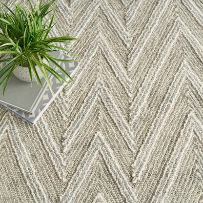 Neutral cream-beige chevron textured rug with a small potted plant and stack of books.