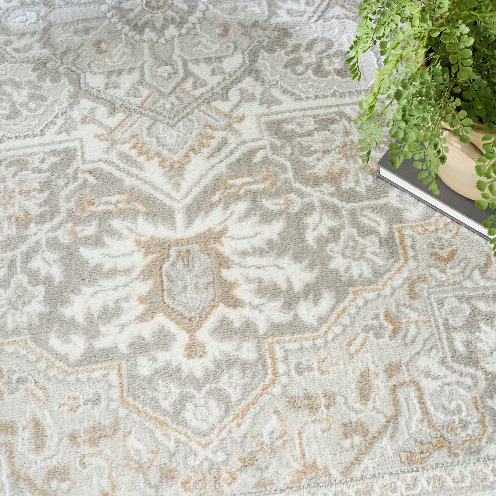 Gray ivory patterned area rug with tan accents and geometric medallion motif; small plant on books in corner.