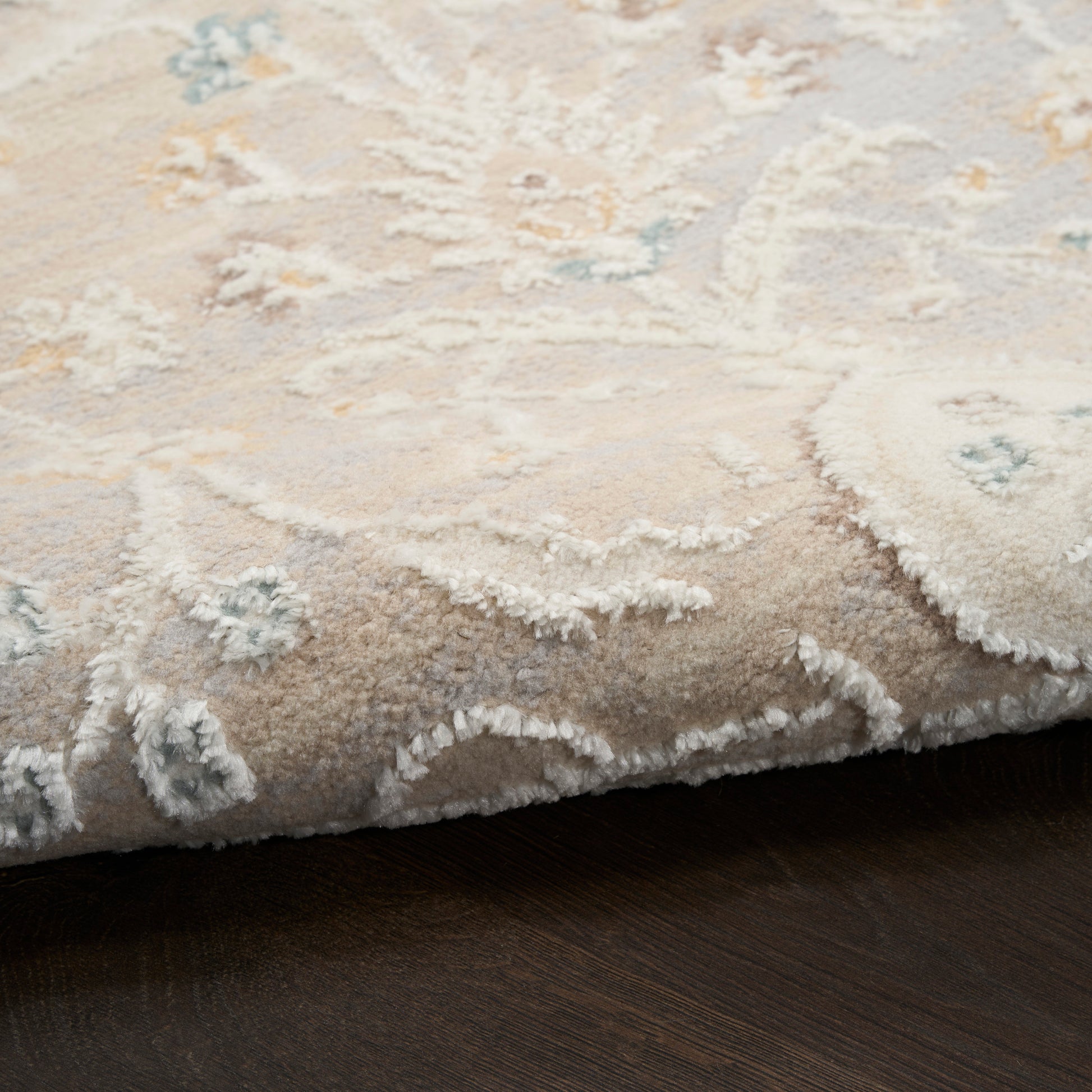 Plush beige-cream Persian-style area rug with light blue accents and fringed edge on dark wood floor.