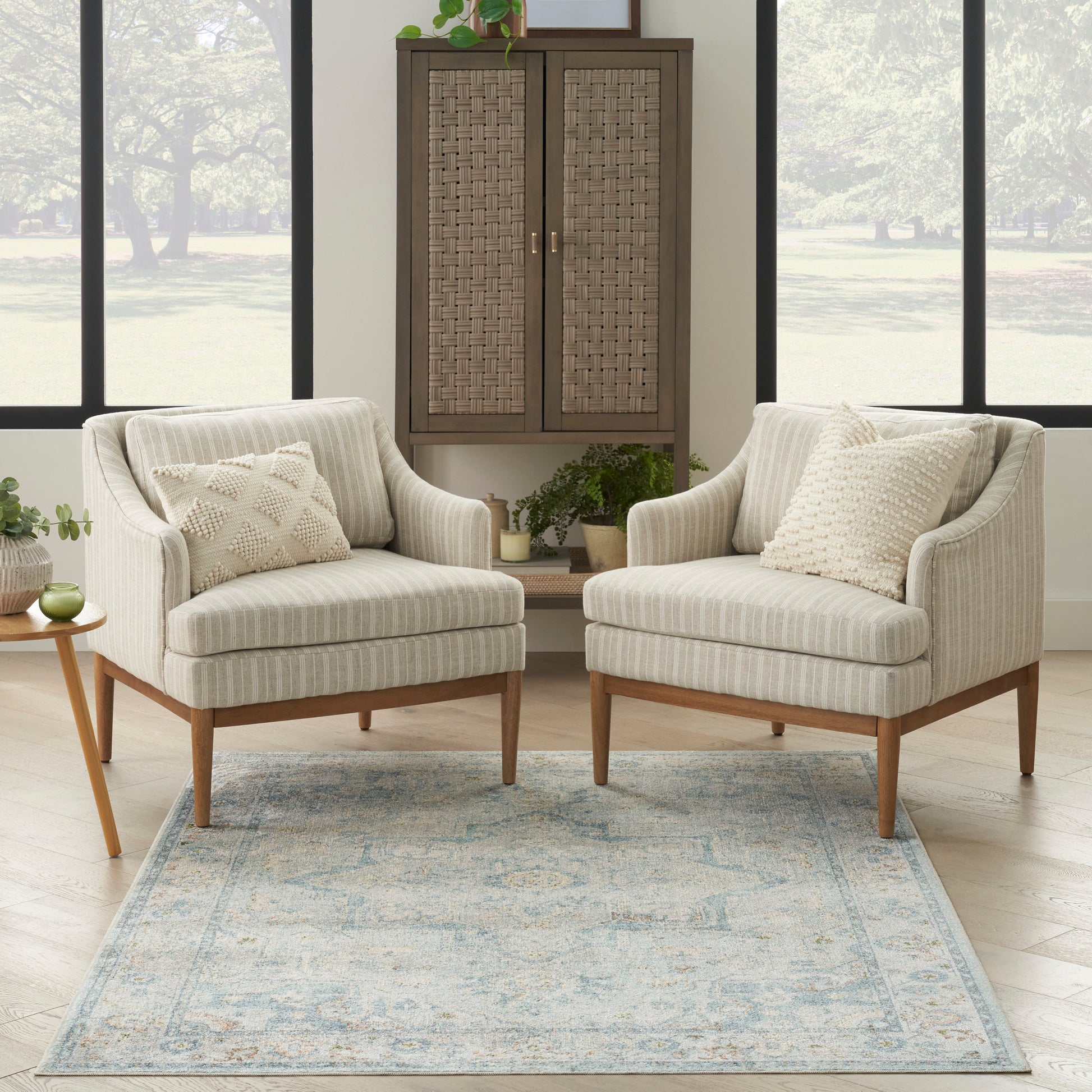 Vintage 4' x 6' blue-toned rug in a bright living room.