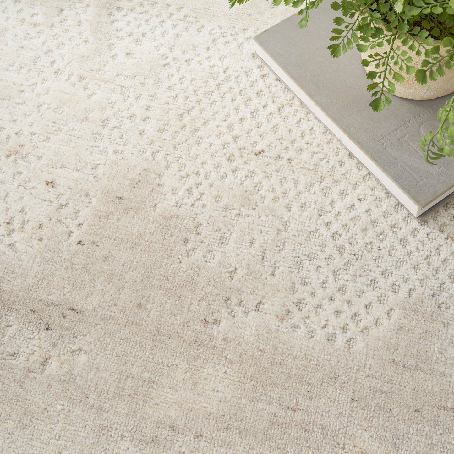 Beige textured rug with faint diamond pattern; green potted fern resting on a gray book.
