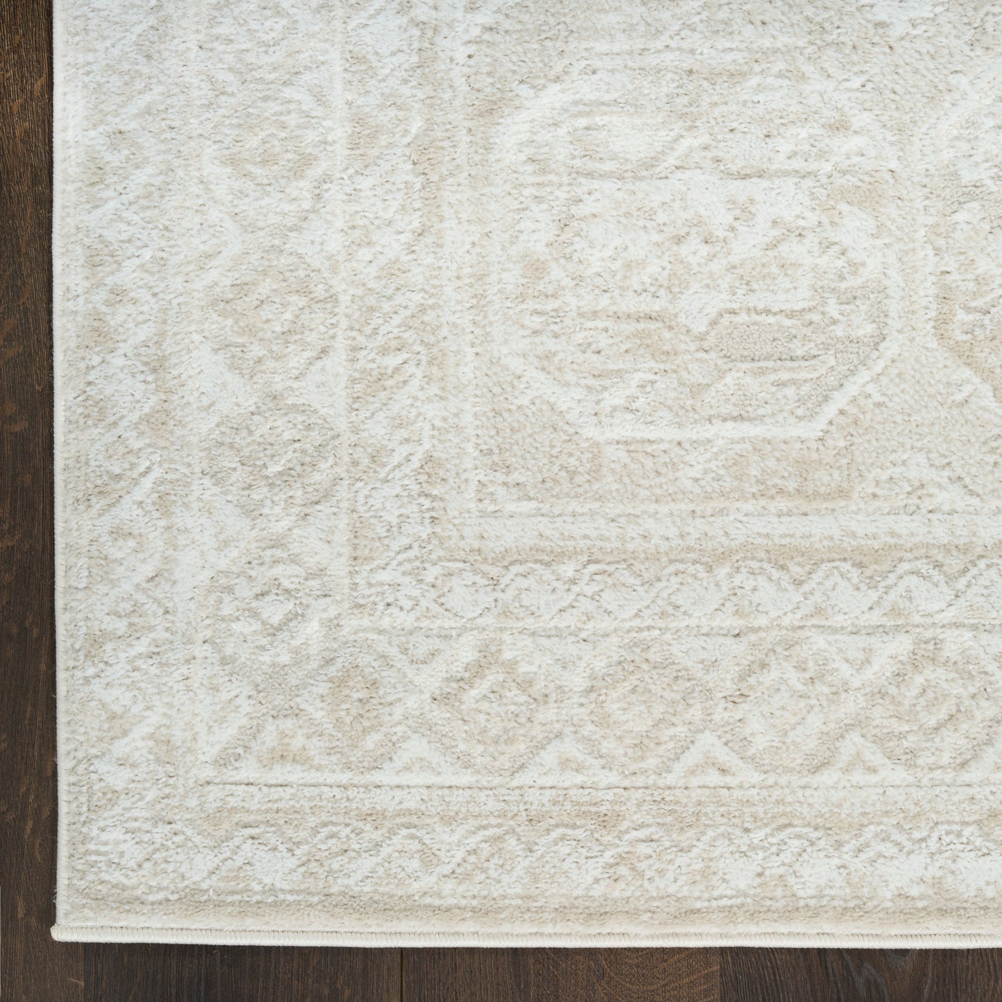Cream textured area rug with subtle geometric medallion pattern and decorative border on dark wood floor