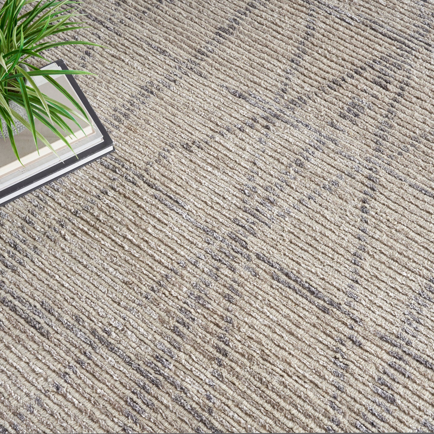 Beige textured rug with linear ridges; corner features a small green leafy plant and a stack of books.