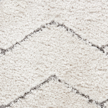 Nourison Rugs Nourison Home   Shag 8' X 10'    - 099446878342