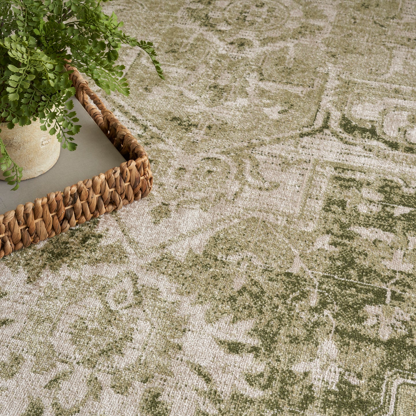 Green & beige vintage-style oriental rug with a woven rattan tray & potted greenery