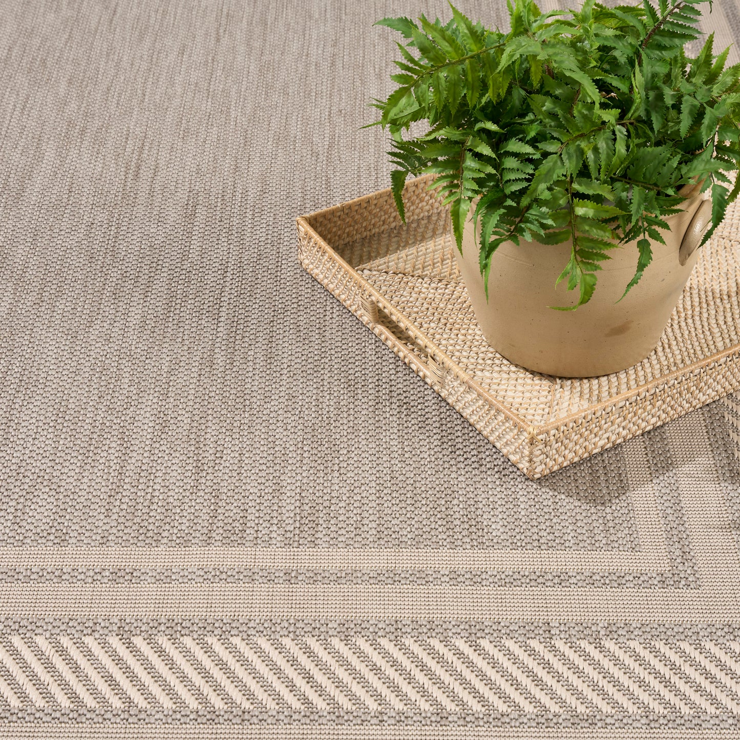 Beige woven rug with geometric border, basket tray, and potted green fern in a tan ceramic pot.