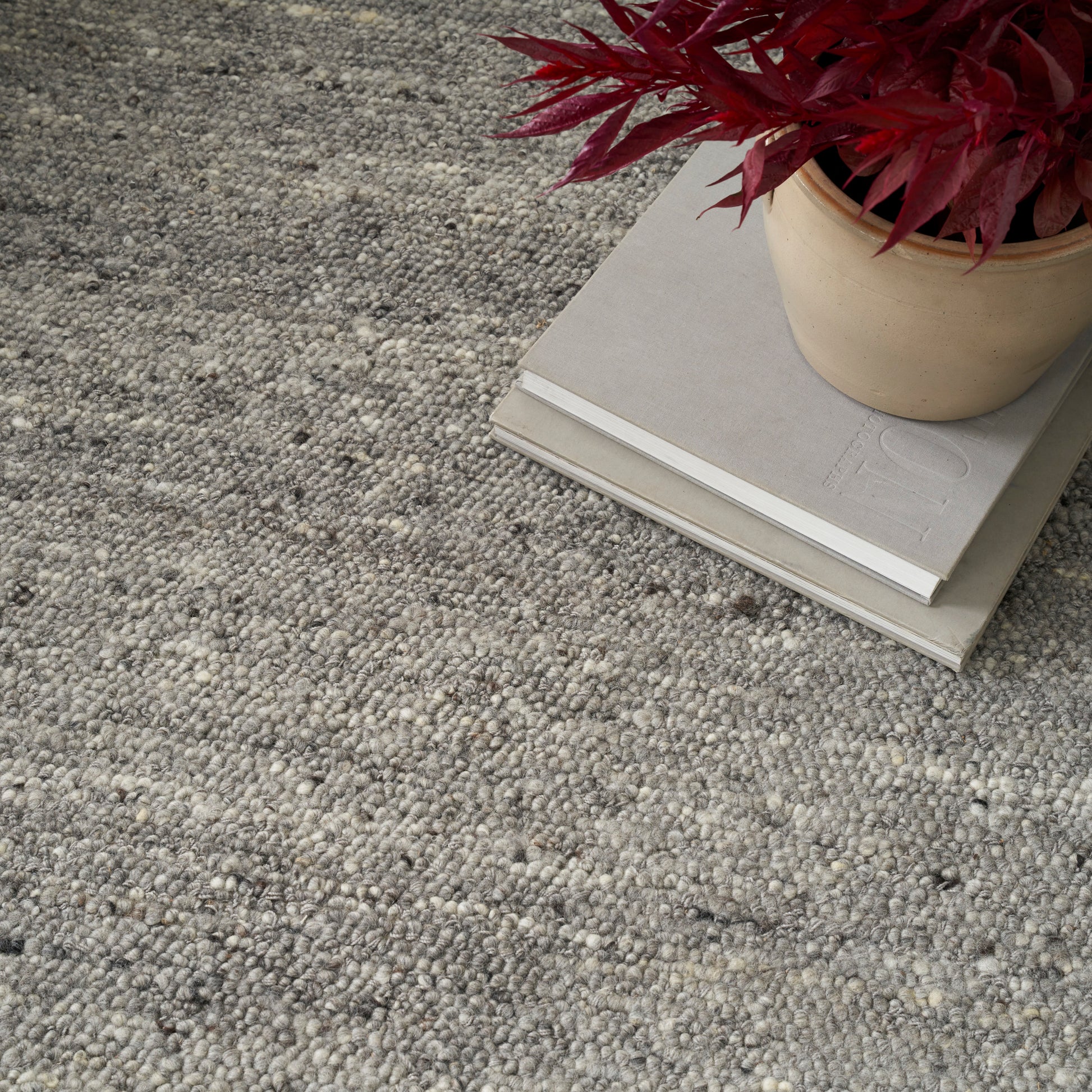 Gray speckled boucle rug with a stack of beige notebooks and a red-leaf plant in a ceramic pot.