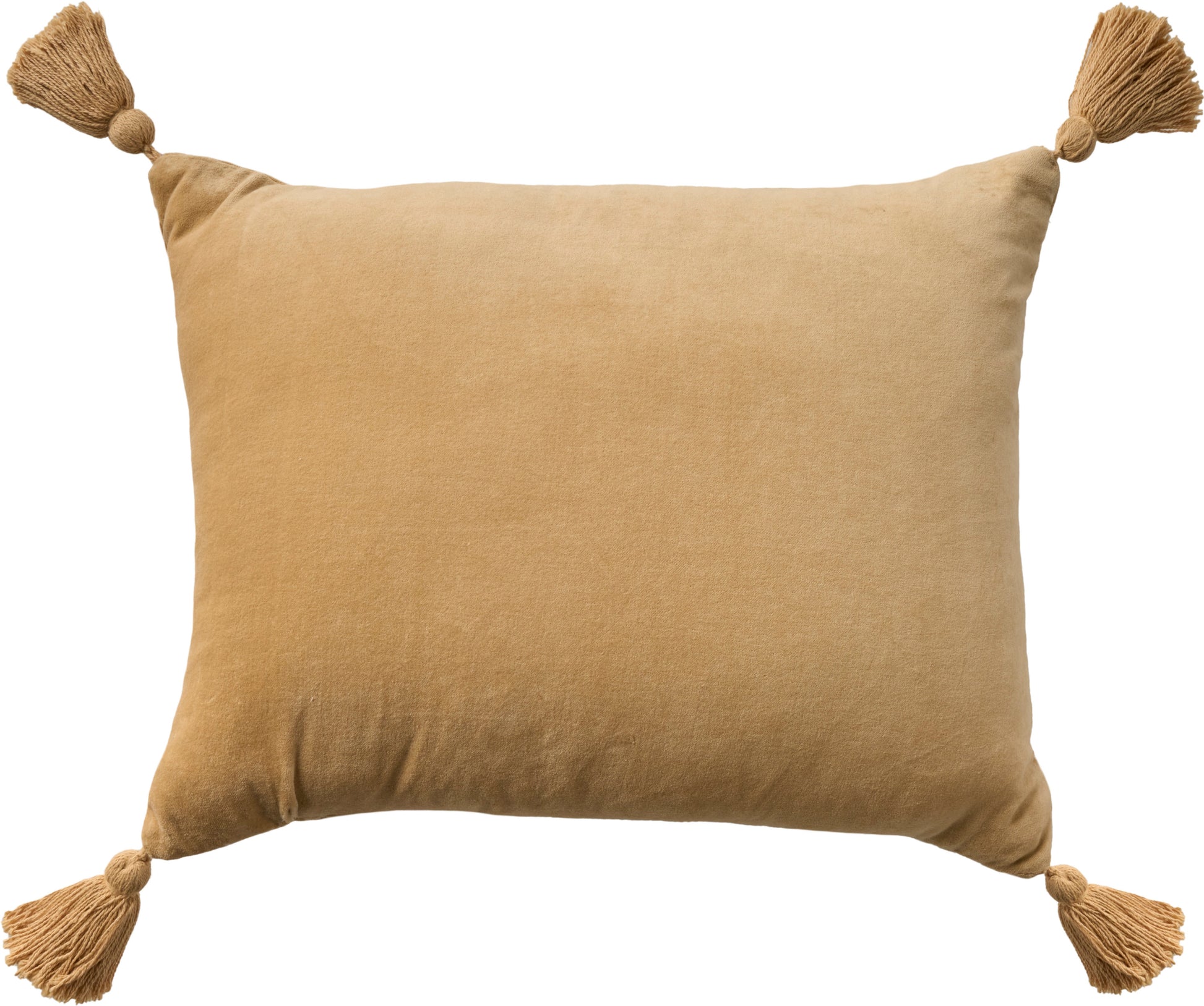 Camel-beige rectangular throw pillow with tassels on all four corners.