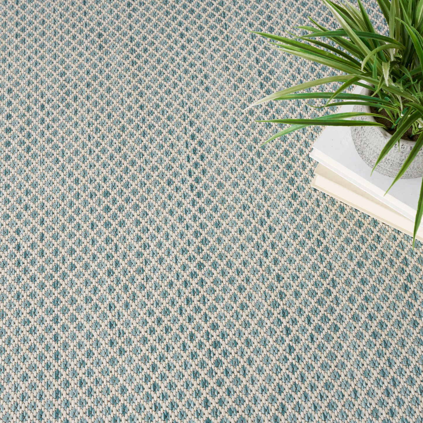 Gray overlay covers most of frame; visible edge shows a blue-cream woven rug and green plants.